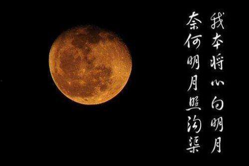 明月不照我,独照他乡——我的异域情缘