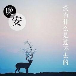 未说完的晚安（等不到的晚安）,那些未说完的温柔告别