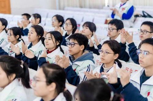 班格梦想,追寻梦想的旅程与启示